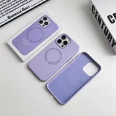 Чехол iPhone 11 Leather Candy MagSafe (черный)